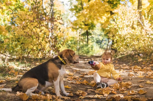 Beagle e uma menina sentados nas folhas