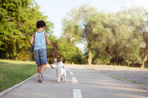 Criança e cachorro passeando