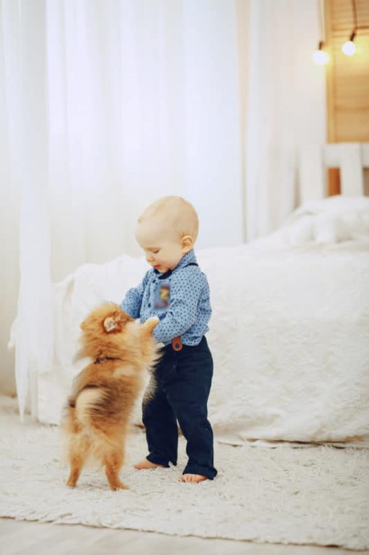 Criança e um cachorrinho