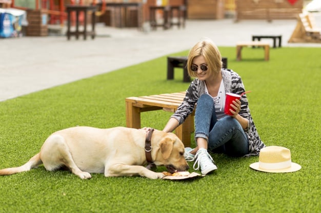 Uma mulher e um cachorro sentados no gramado 