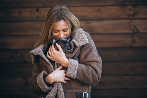 Como cuidar do seu cão no inverno ou em épocas de frio
