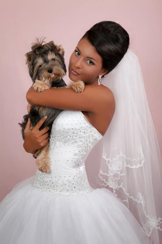 Cães em casamentos: Saiba como levar seu amigo peludo