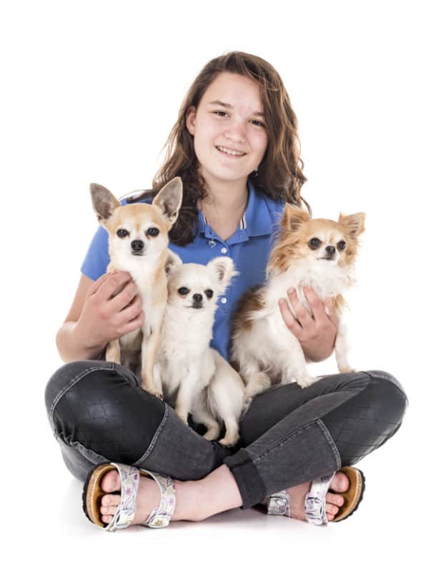 Uma menina e três cachorros em fundo branco