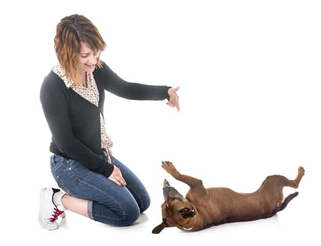 Mulher brincando com o cachorro em fundo branco