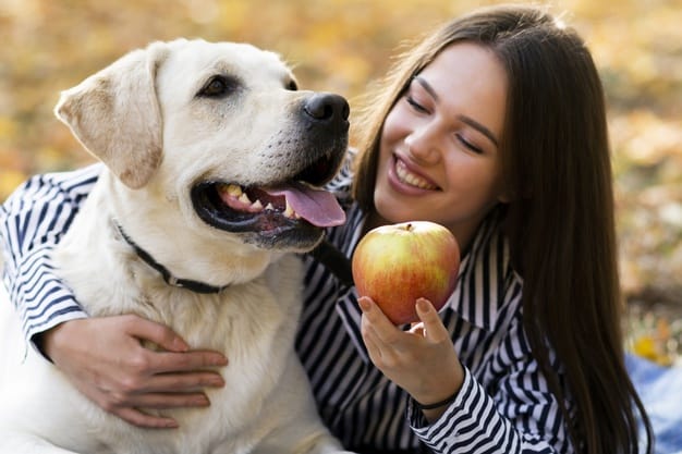 Cachorro pode comer maçã? Descubra!
