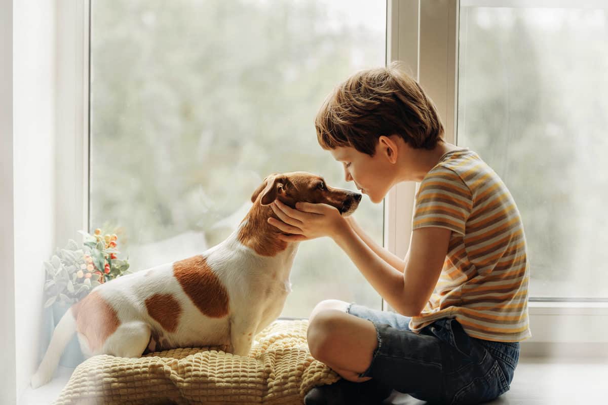 Cachorro e criança: Descubra quais os benefícios da interação!